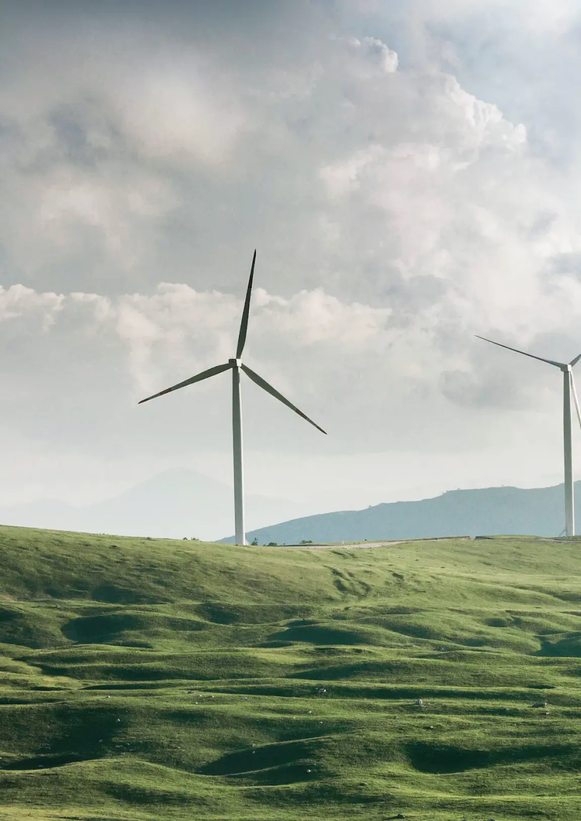 Empowering Sustainability: AI-Driven Solutions in Renewable Energy